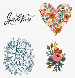 Rifle Paper Co Graphic