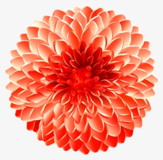 Free Png Flower Transpa Png Images Background Png Images - Dahlia