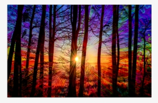 Jud Hayden Art - Sunset