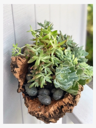 Flower Delivery In Marin, Novato, San Rafael And The - Flowerpot