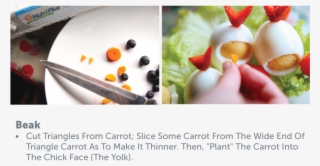 The Chicks Gathering Method-04 - Diet Food