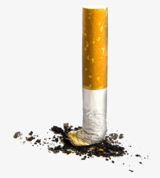 Cigarette - Burnt Out Cigarette Png