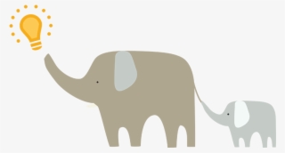 Elephant - Indian Elephant