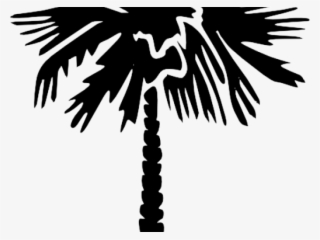Shadow Clipart Coconut Tree - Gear Of Theta Tau
