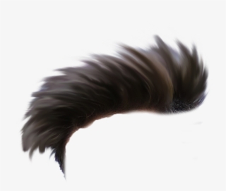 All Heir Png - Hair Png One Side