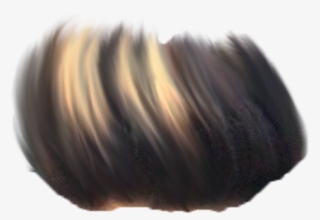 Rose Png 2 ➤ Download Hair Png ➤ Download - Lace Wig