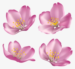 Download Flowers For Decoration Clipart Png Photo - Rosa Rubiginosa
