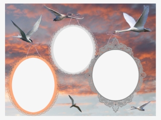 Avant Que Le Travail Au Jardin Recommence Et Entre - Montage Cadre Photo Png