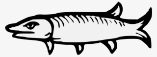 Details, Png