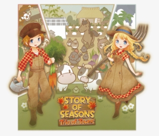 Story Of Seasons Tot