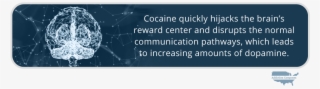 Com The Dangers Of Using Cocaine Intravenously Cocaine - Addiction Campuses