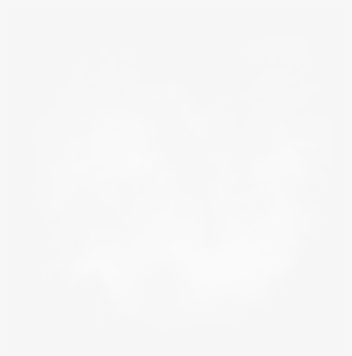 From The Guadalajara Cartel To The World - Notas Musicales En El Cielo