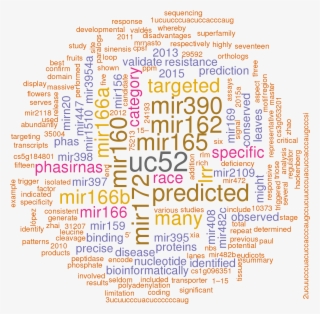 Stem Loop Sequence Csi Mir482a - Theme Park Words