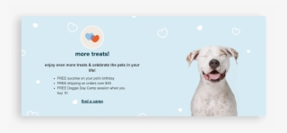 Petsmart Treats Program Perks - Dogo Argentino