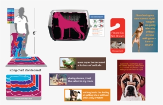 The Exercise Was Such A Success That Petsmart Asked - Boxer