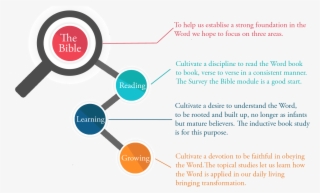 Discipleship Is Important Yet Few Believers Are Discipled - Vector Graphics
