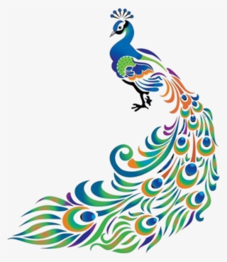 Peacock Sticker - Colorful Drawings Of Peacock