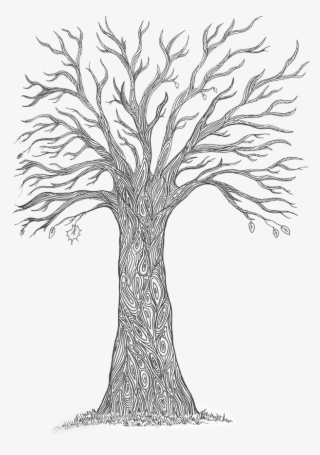 This Was Due To Fear That The Resolution Of The Scanned - Pond Pine