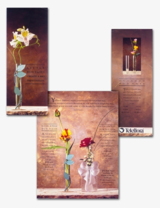 So, I Set Forth To Set A Mood More In Line With What - Narcissus