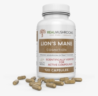 Lions Mane Extract - Cordyceps-m 60g Bulk Powder