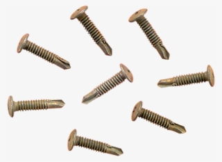 357wf22b Self Drilling Screw, Wafer Head, 10gx22mm, - Clipsal Self Tapping Screws