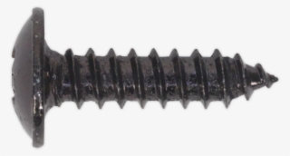 Bst4216 Sealey Self Tapping Screw - Lawn Aerator