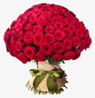 Angel - 101 Roses Red