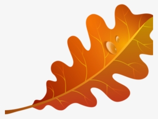 Autumn Leaves Clipart Orange Leaf - Orange Fall Leaf Clip Art