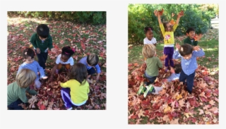 The Toddlers Used First Their Hands, Then Rakes And - Child