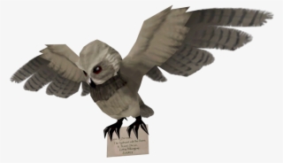 Cg5ripp - Harry Potter Owl Transparent