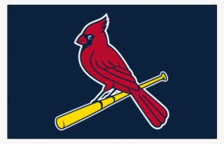 Louis Cardinals Iron On Stickers And Peel-off Decals - St. Louis Cardinals