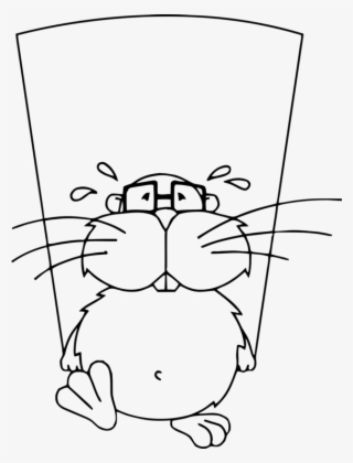 Mammal American Beaver Rodent Drawing Human - Beaver