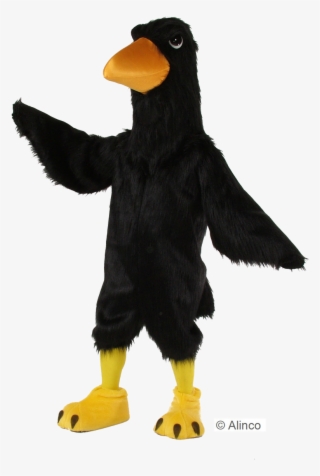 Black Big Bird
