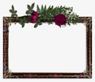 Which Habs Mom Is This - Picture Frame