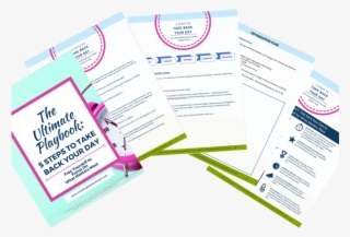 Spam Is Stupid - Brochure