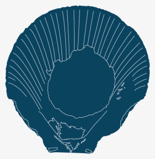 Several Species Occur Off The Coast Of Western Australia