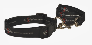Spartan Dog Leash/collar - Strap