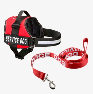 Would You Like To Add A Marked Vest And Leash* - Service Animal Vest