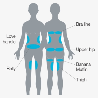 Micool-a Cryo Fat Reduction Tummy Treatments Love Belly - Silhouette