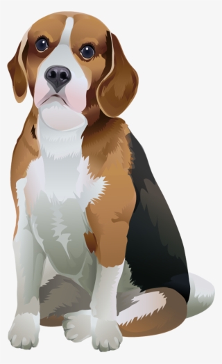 1000 X 1538 6 - Beagle Vector Png