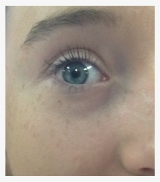 Screen 2 On Flowvella - Close-up