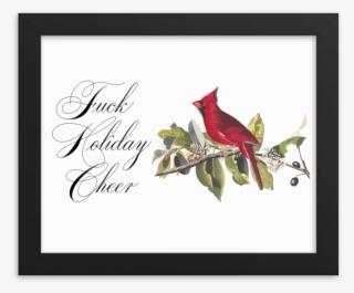 Holiday Cheer Framed - The Birds Of America