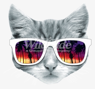Kitty With Sun Glasses - Cat Face Transparent Background