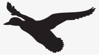Flying Duck Silhouette Png