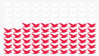 58% Of The Wild Population Of Pink Pigeons Is Wiped