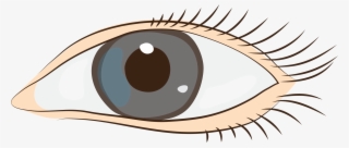 Cute Eyes Clipart - Stye Clipart