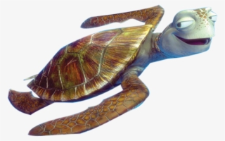 Sea Turtle Cartoon - Crush Turtle Clip Art