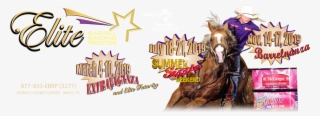 Home, Elite Barrel Racing - Stallion