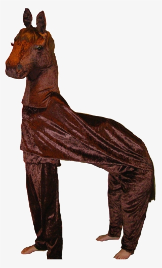 Horse - Okapi