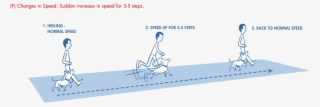 Go From Regular Focused Walking To A Sudden Jog Of - Dog Heel Position
